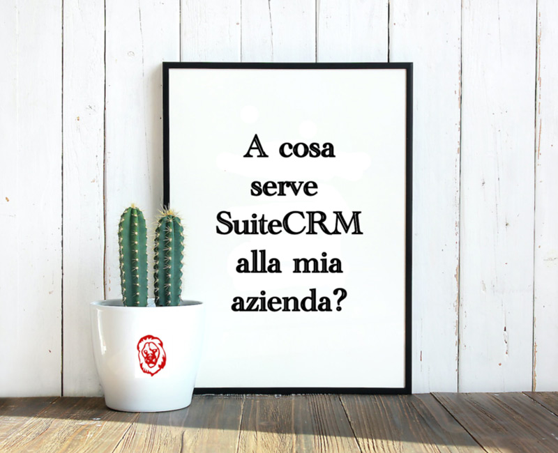 A cosa serve SuiteCRM alla mia azienda?
